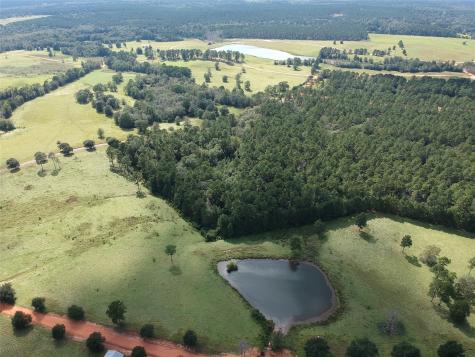 Tbd Lakeland Ranch Lot 278 Hillister TX 77624