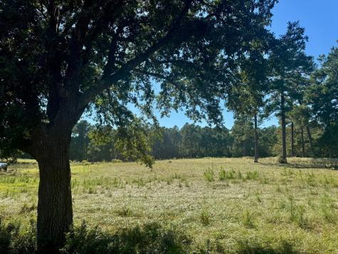 Tbd Lakeland Ranch Lot 278 Hillister TX 77624