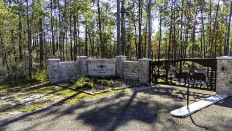 035 Magnolia Ranch Road Road Onalaska TX 77360