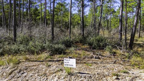 035 Magnolia Ranch Road Road Onalaska TX 77360