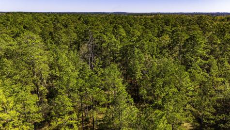 035 Magnolia Ranch Road Road Onalaska TX 77360