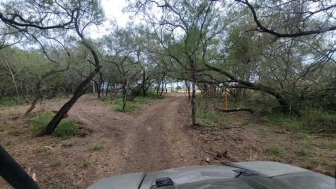 1316 Brownson Victoria TX 77905