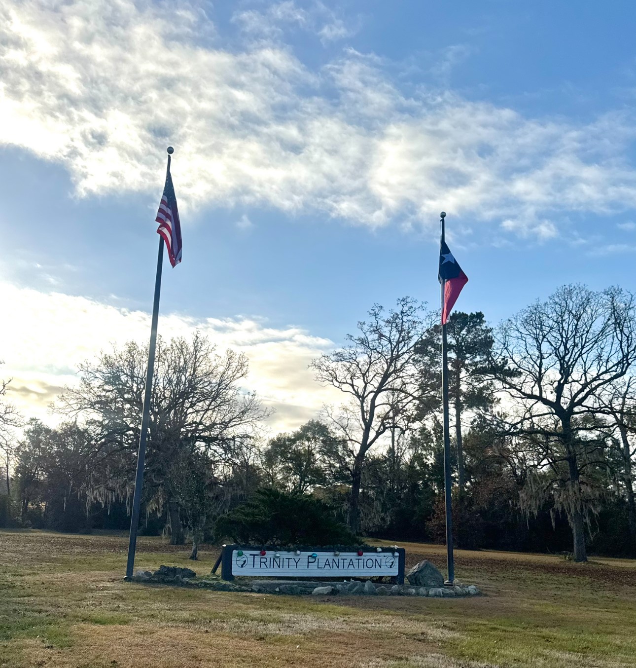 Lot 14 Charleston Street Trinity TX 75862