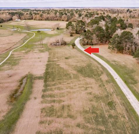 Lot 14 Charleston Street Trinity TX 75862