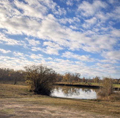 Lot 14 Charleston Street Trinity TX 75862