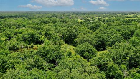Tbd Fm-2154 Navasota TX 77868