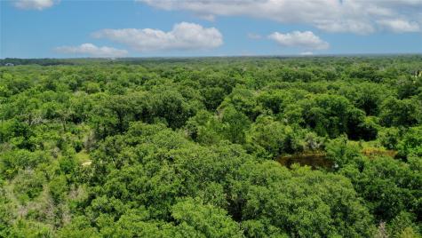 Tbd Fm-2154 Navasota TX 77868