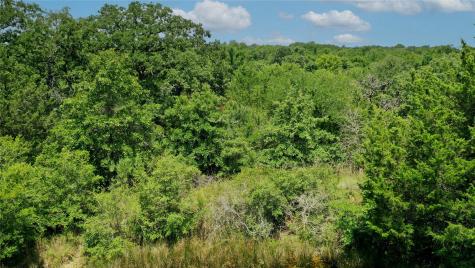 Tbd Fm-2154 Navasota TX 77868