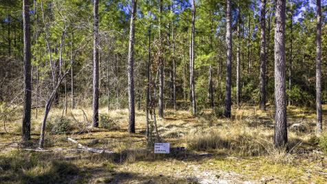 042 Sportsman Retreat Road Onalaska TX 77360