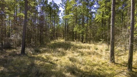 042 Sportsman Retreat Road Onalaska TX 77360