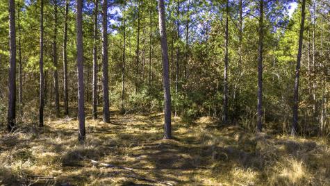 042 Sportsman Retreat Road Onalaska TX 77360