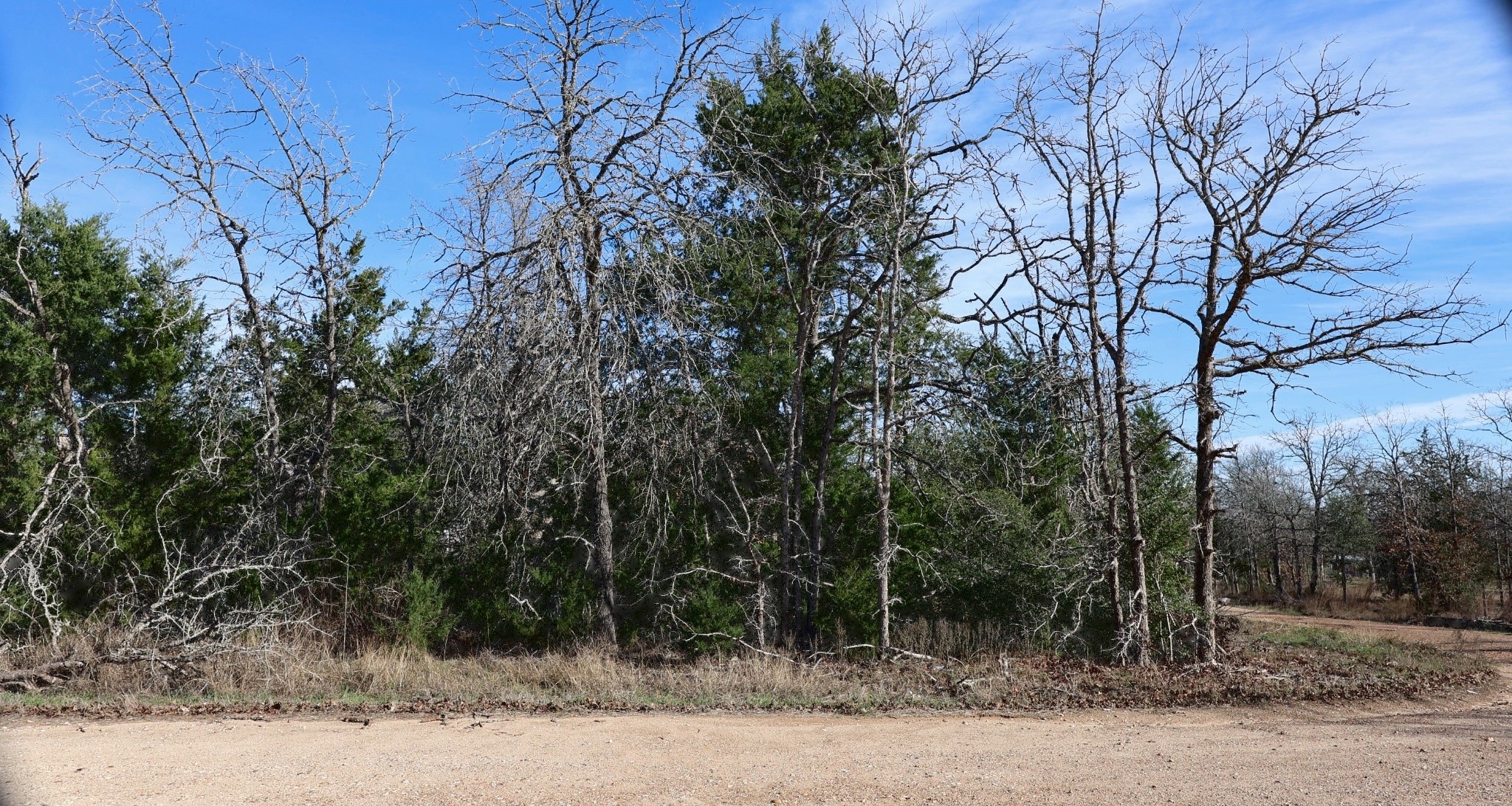 535 Blueberry Hill Road Somerville TX 77879