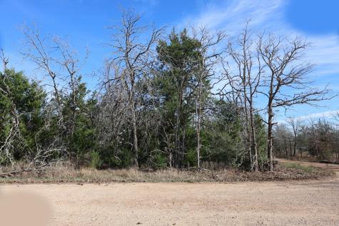535 Blueberry Hill Road Somerville TX 77879