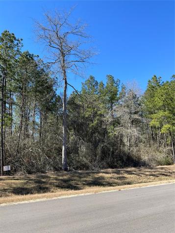 341 Exploration Road Willis TX 77378