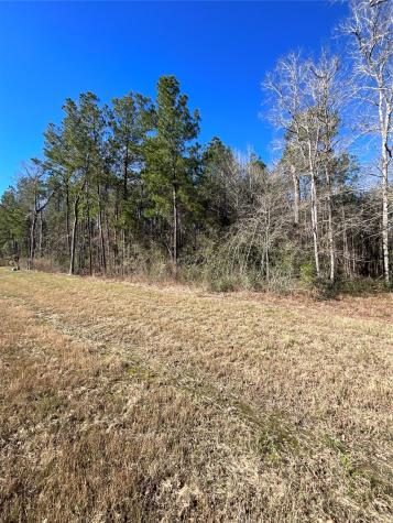 341 Exploration Road Willis TX 77378