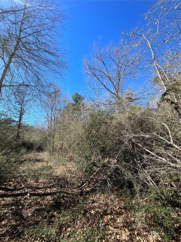 341 Exploration Road Willis TX 77378