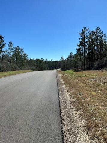 341 Exploration Road Willis TX 77378