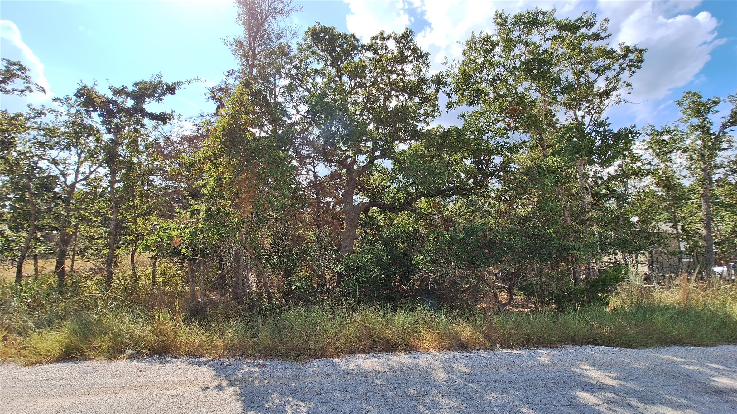 406 Choctaw Crest Somerville TX 77879