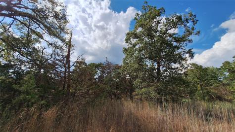 406 Choctaw Crest Somerville TX 77879