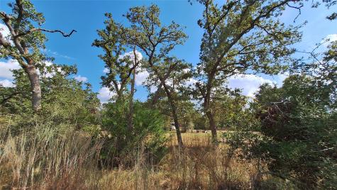 406 Choctaw Crest Somerville TX 77879