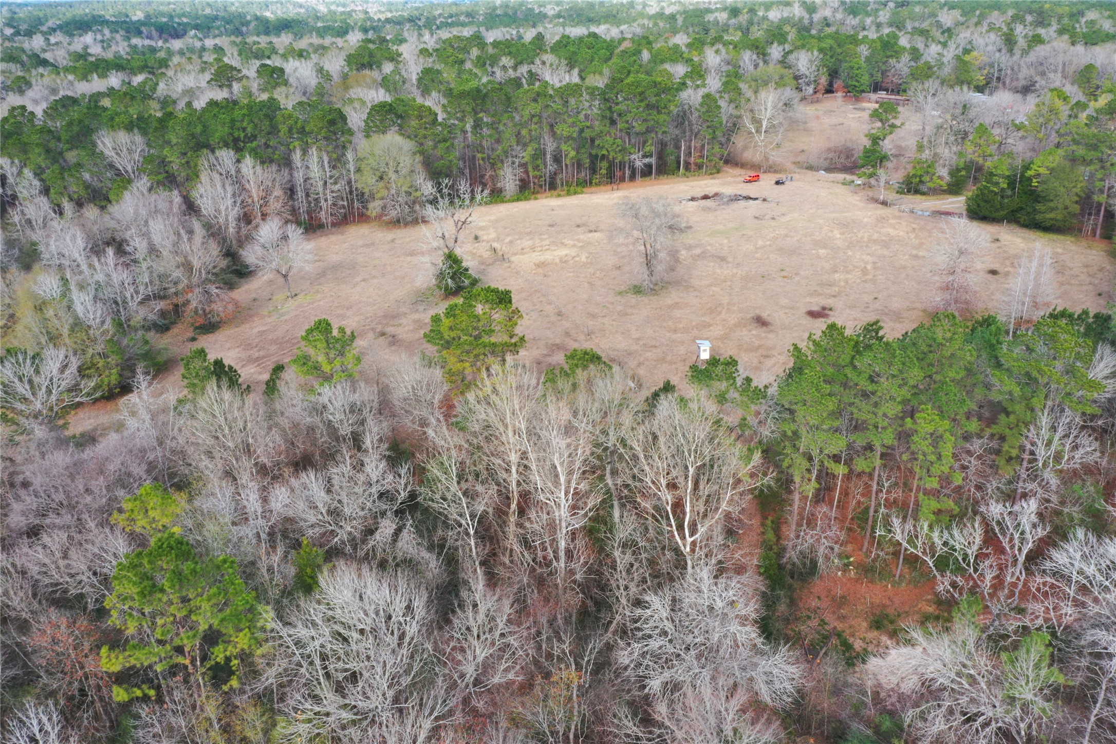 Tbd Dejardo Lane Coldspring TX 77331