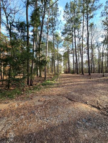 Tbd Dejardo Lane Coldspring TX 77331