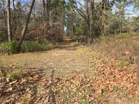 Tbd Dejardo Lane Coldspring TX 77331