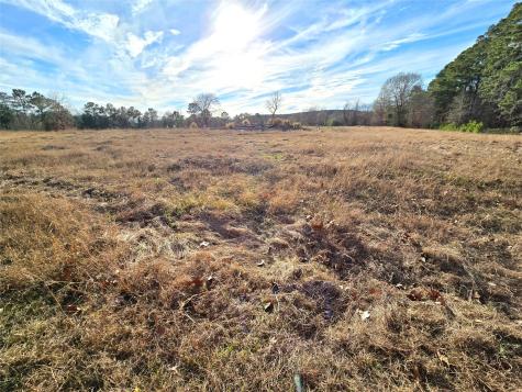 Tbd Dejardo Lane Coldspring TX 77331