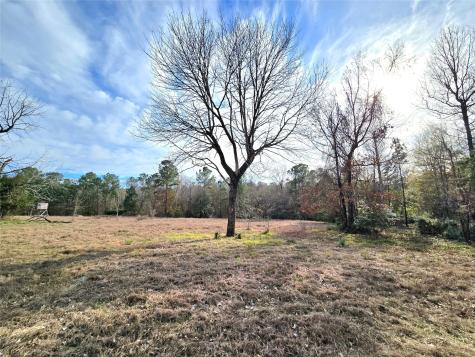 Tbd Dejardo Lane Coldspring TX 77331