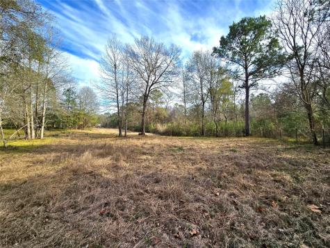 Tbd Dejardo Lane Coldspring TX 77331