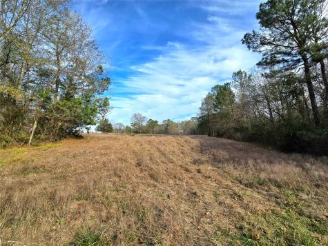 Tbd Dejardo Lane Coldspring TX 77331