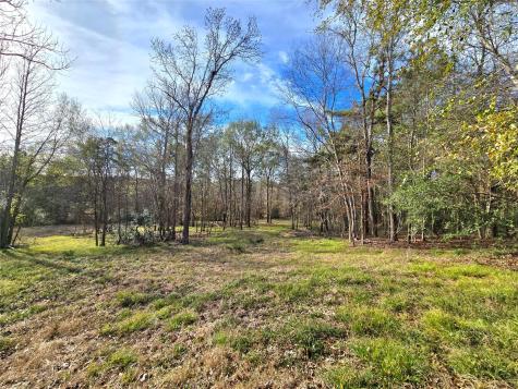 Tbd Dejardo Lane Coldspring TX 77331