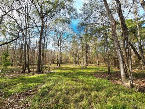 Tbd Dejardo Lane Coldspring TX 77331