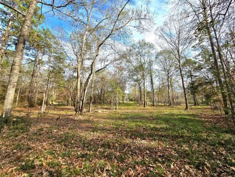 Tbd Dejardo Lane Coldspring TX 77331