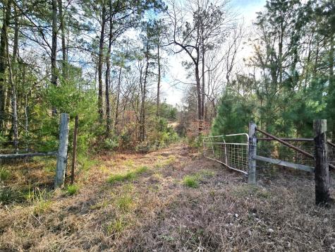 Tbd Dejardo Lane Coldspring TX 77331