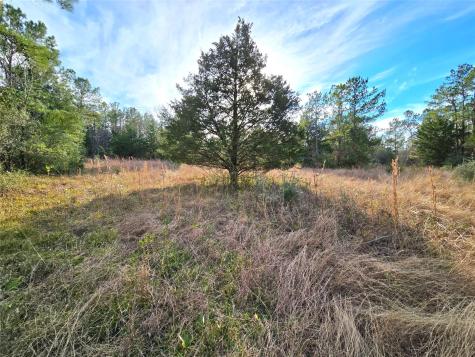 Tbd Dejardo Lane Coldspring TX 77331