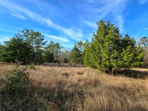 Tbd Dejardo Lane Coldspring TX 77331