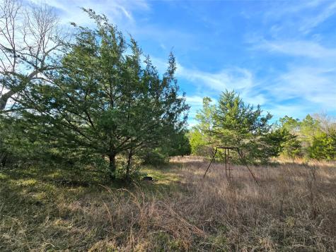 Tbd Dejardo Lane Coldspring TX 77331