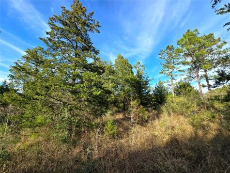 Tbd Dejardo Lane Coldspring TX 77331