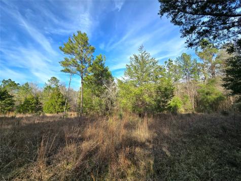 Tbd Dejardo Lane Coldspring TX 77331