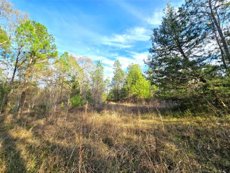 Tbd Dejardo Lane Coldspring TX 77331