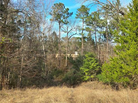 Tbd Dejardo Lane Coldspring TX 77331
