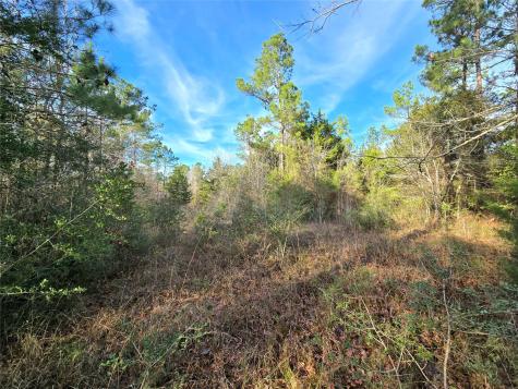 Tbd Dejardo Lane Coldspring TX 77331