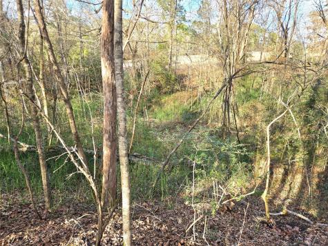 Tbd Dejardo Lane Coldspring TX 77331