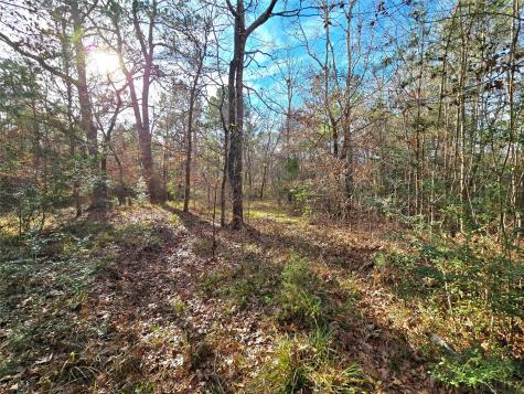 Tbd Dejardo Lane Coldspring TX 77331