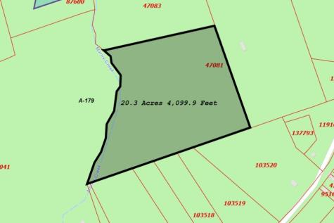 Tbd Dejardo Lane Coldspring TX 77331
