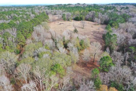 Tbd Dejardo Lane Coldspring TX 77331