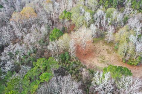 Tbd Dejardo Lane Coldspring TX 77331