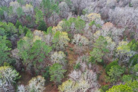 Tbd Dejardo Lane Coldspring TX 77331