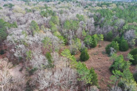 Tbd Dejardo Lane Coldspring TX 77331